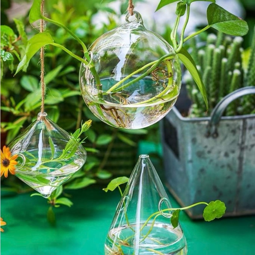 Three Hanging Glass Terrariums for Plants